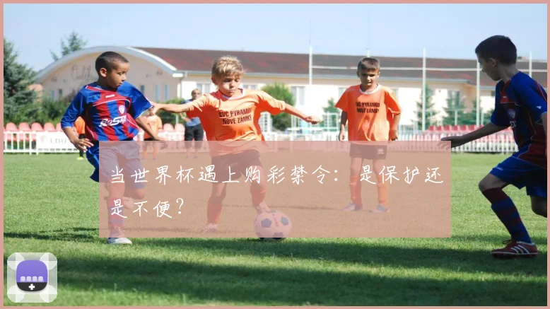 当世界杯遇上购彩禁令:是保护还是不便?