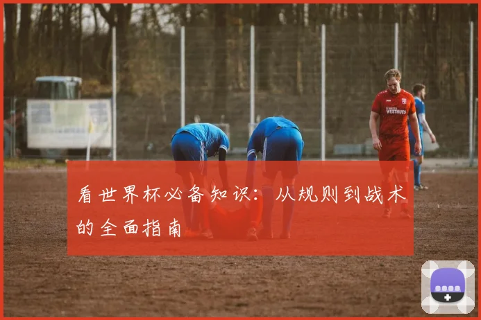 看世界杯必备知识:从规则到战术的全面指南