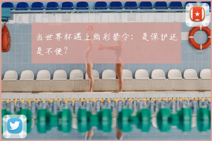 当世界杯遇上购彩禁令:是保护还是不便?