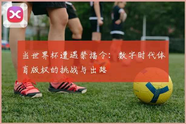 当世界杯遭遇禁播令:数字时代体育版权的挑战与出路
