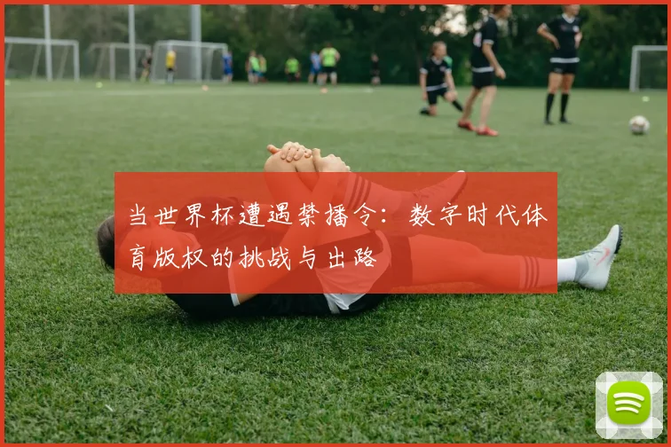 当世界杯遭遇禁播令:数字时代体育版权的挑战与出路