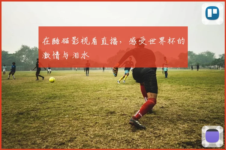 在酷猫影视看直播,感受世界杯的激情与泪水