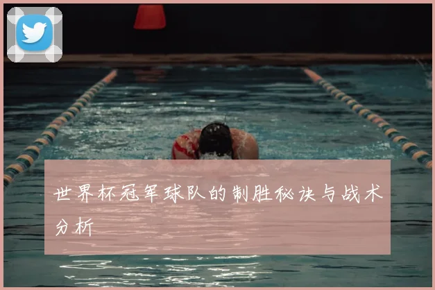 世界杯冠军球队的制胜秘诀与战术分析