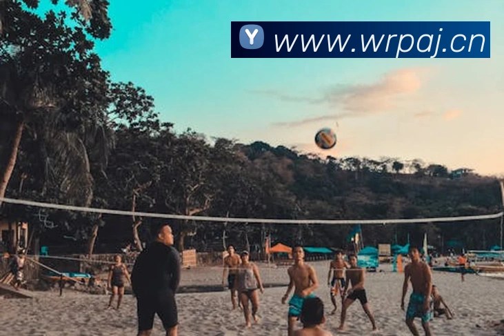 乐鱼网页版在线登录平台生态图